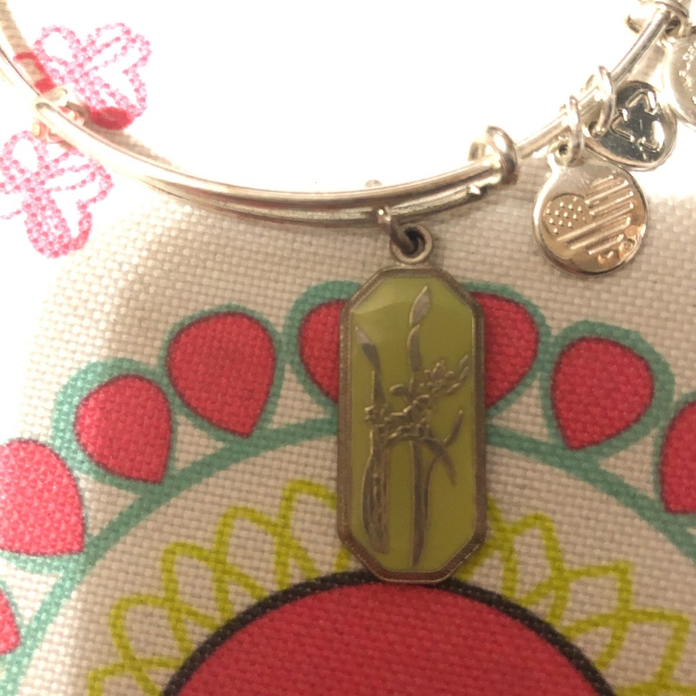 Alex and Ani Bracelet